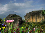 IMG 2256-950