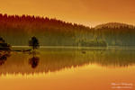 landscape03
