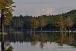 landscape04