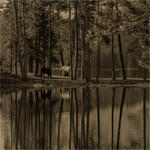 landscape08