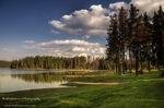landscape14
