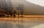 landscape15