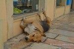 Kerkyra0049