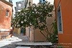 Kerkyra0065